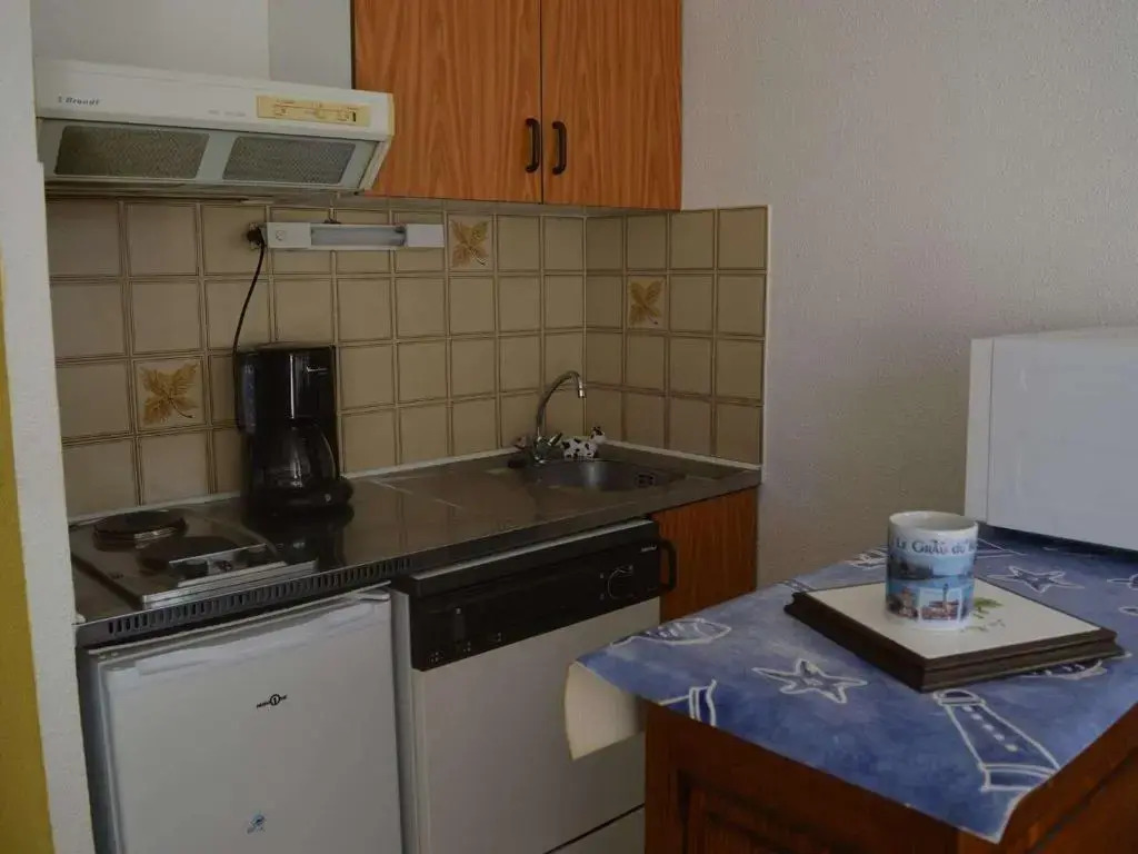 Appartement Le Grau-du-Roi, 2 pièces, 4 personnes - FR-1-250-114