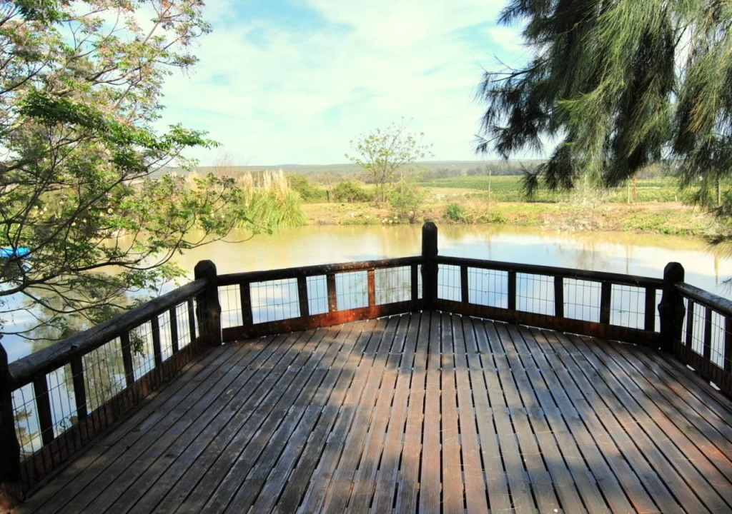 Homestead B & B