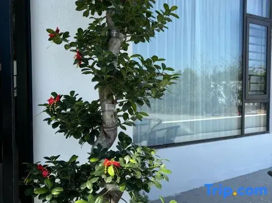 Xiang Yun Duan Homestay