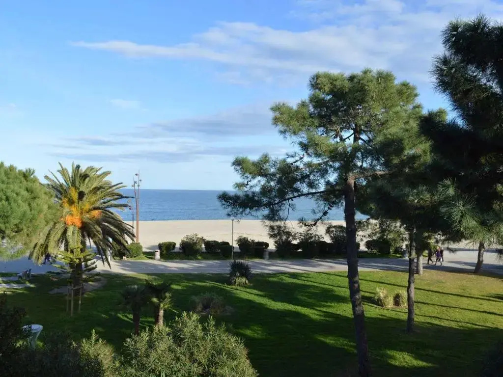 Appartement Argelès-sur-Mer, 2 pièces, 4 personnes - FR-1-225-696