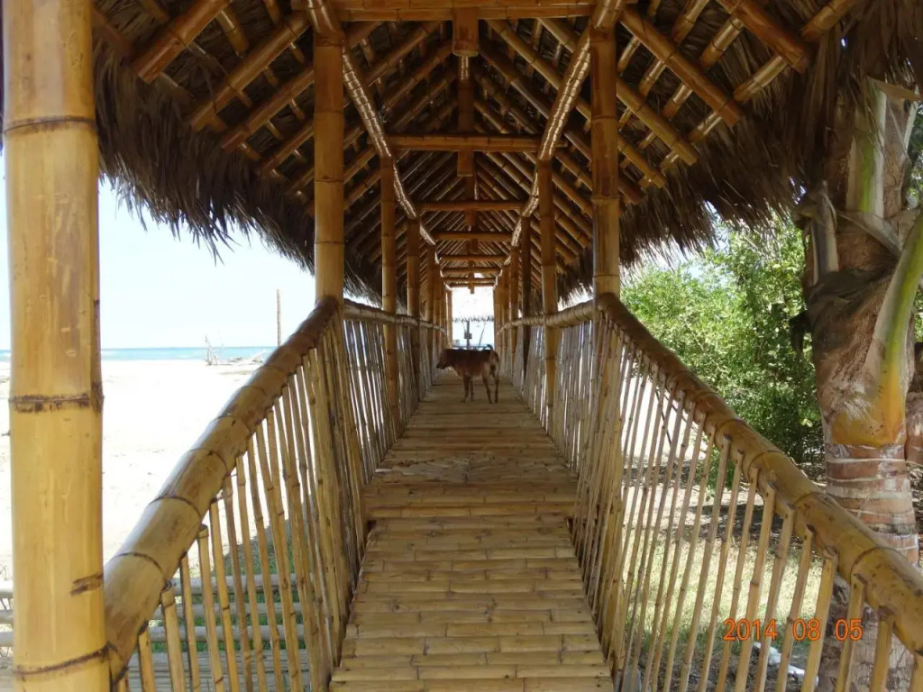 Hosteria Tsafiki