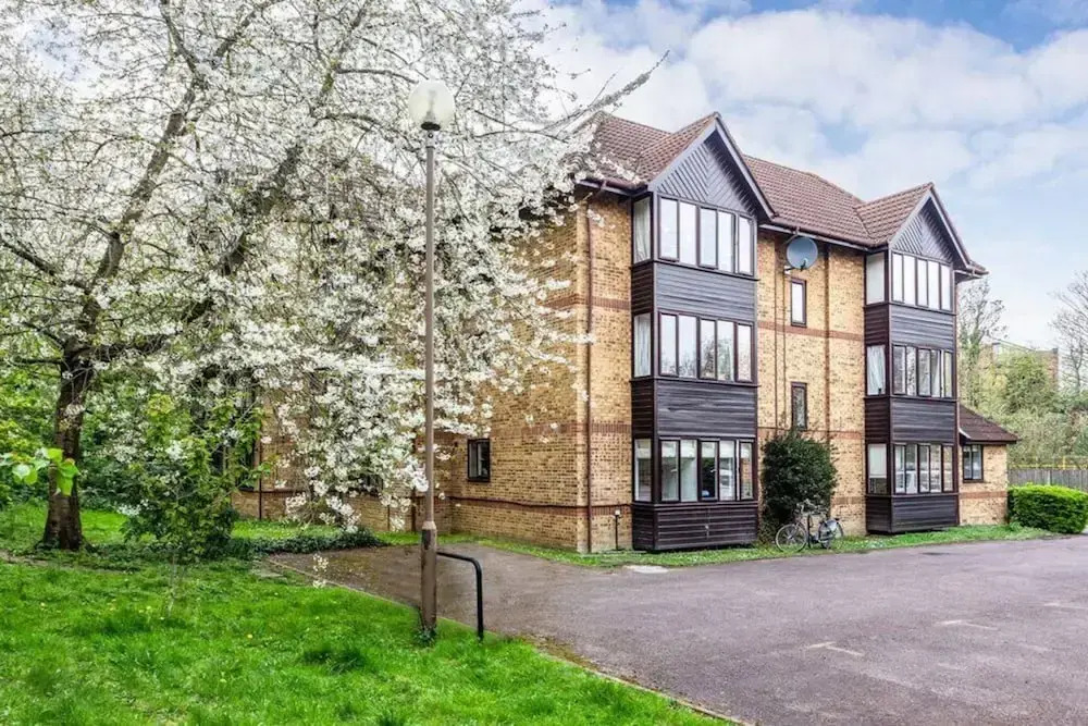 Cosy 1 Bed Flat in Denmark Hill