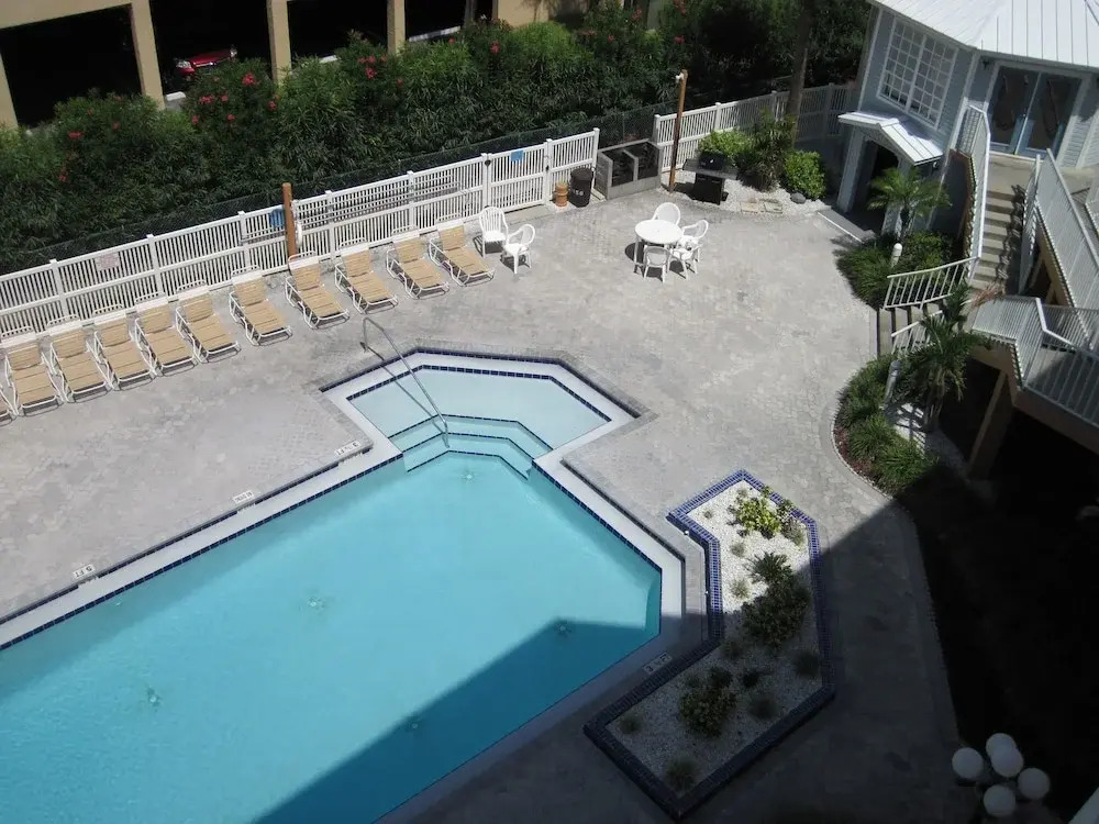 Beach Palms 409
