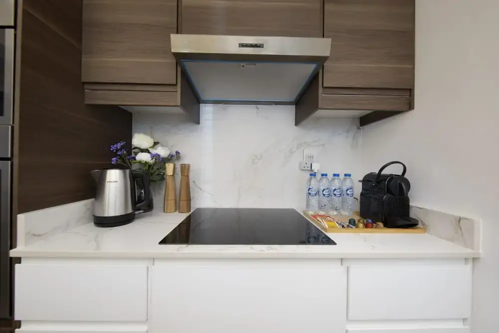 Fountain View Signature Residence With Terrace 135 SQM