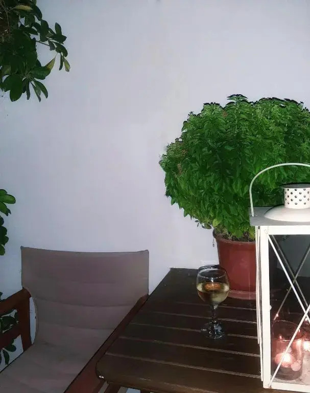 Melia studio 1 seafront apartment