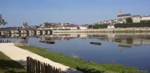 Le Relais Du Petit Lion