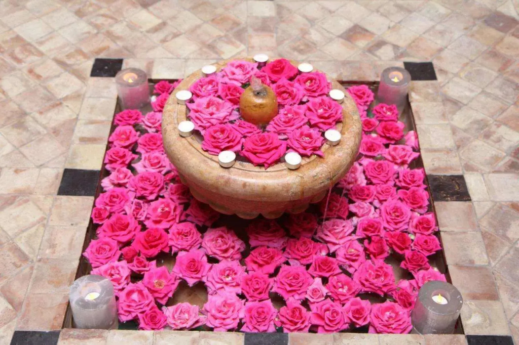 Riad Terra Bahia