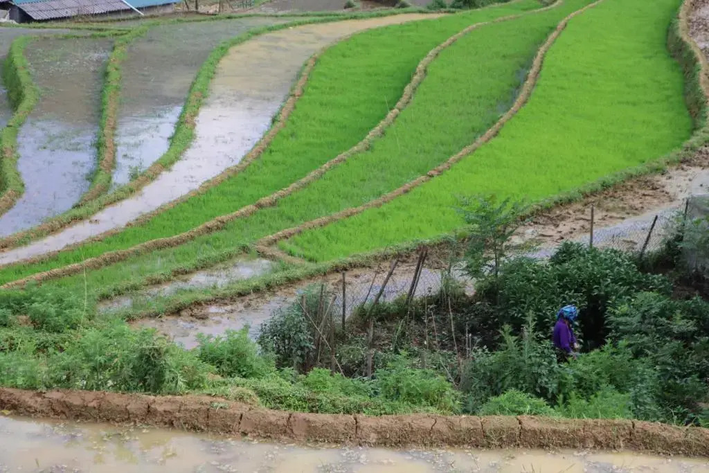 SaPa Farmer House