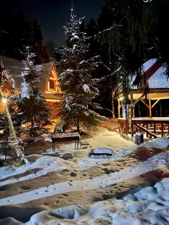 Конни