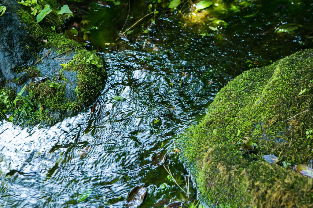 Yugawara-Onsen Manyoso