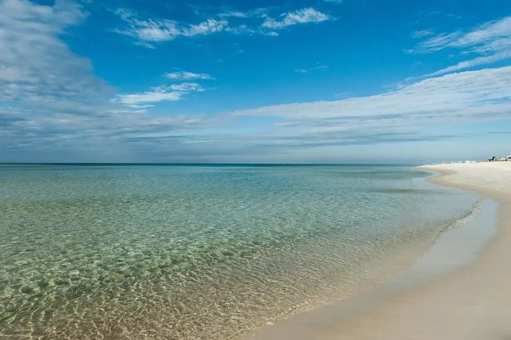 Impeccable Oceanfront W/ Pools & Huge Gym 1 Bedroom Condo