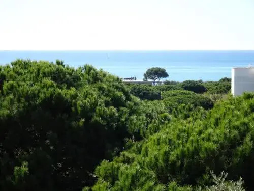 CIP V4 Vila Rustica
