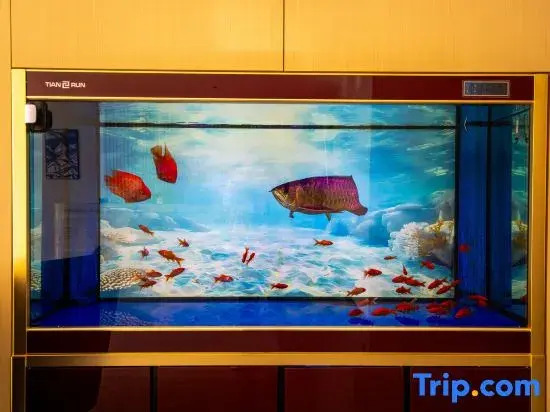 Homeinn Fairyland Hotel (Weihai Weigao Plaza Liugong Island)