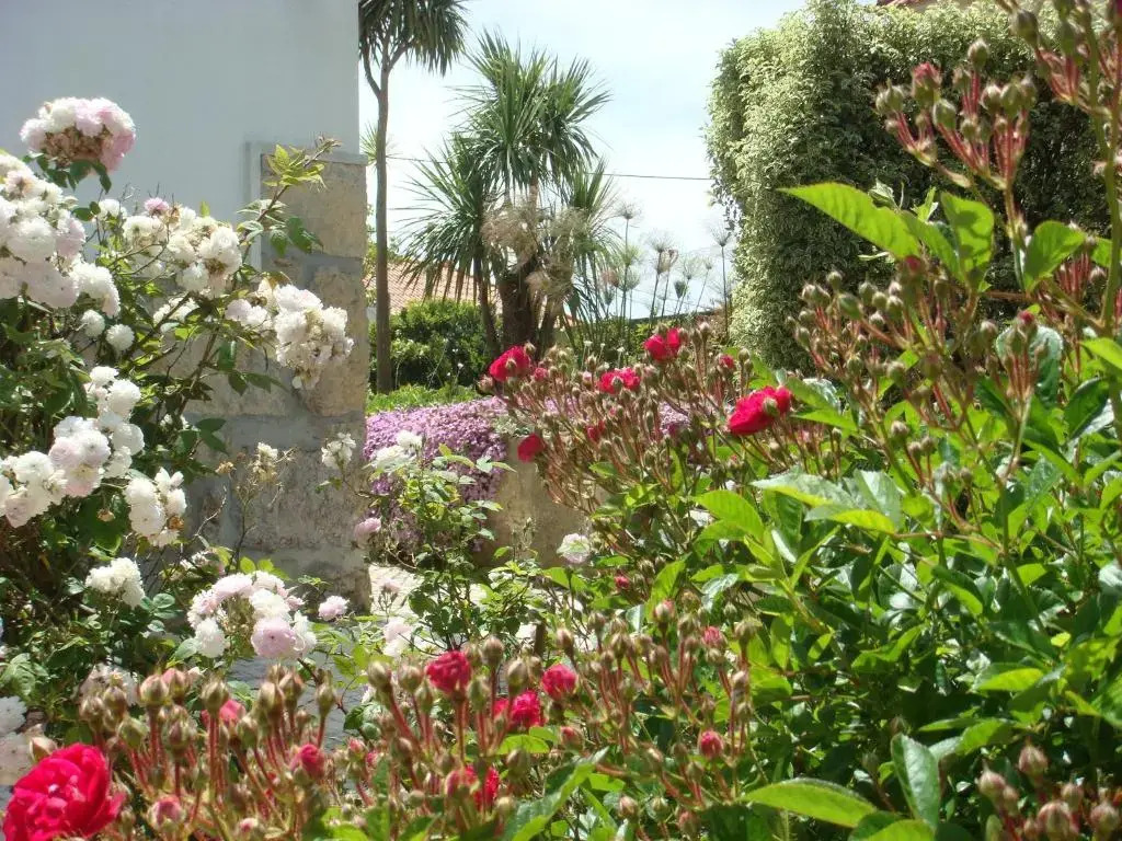 Casa De Hospedes Flor Do Jardim