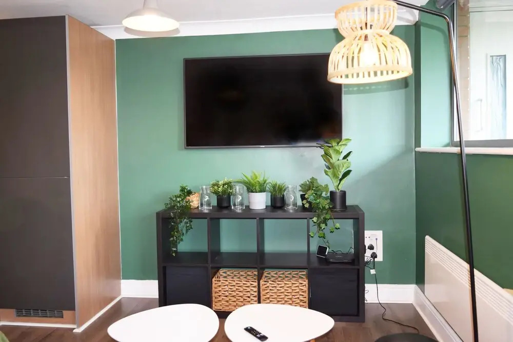 The Jungle Apartment