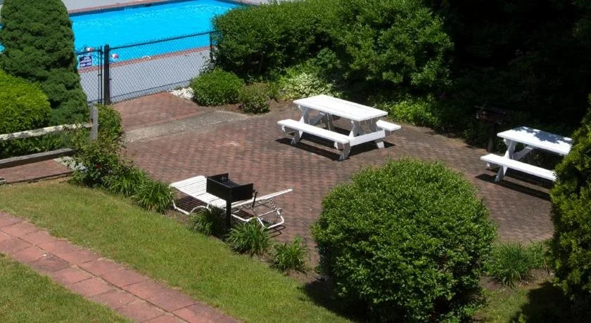 The Cove Motel
