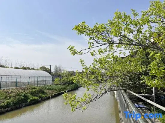 Shanghai Wuqi Xiaozhu Homestay