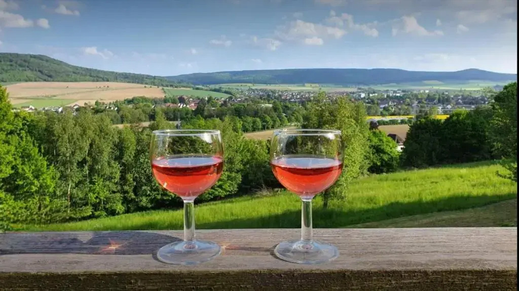 Hotel Waldquelle - Baumhaushotel Aerzen