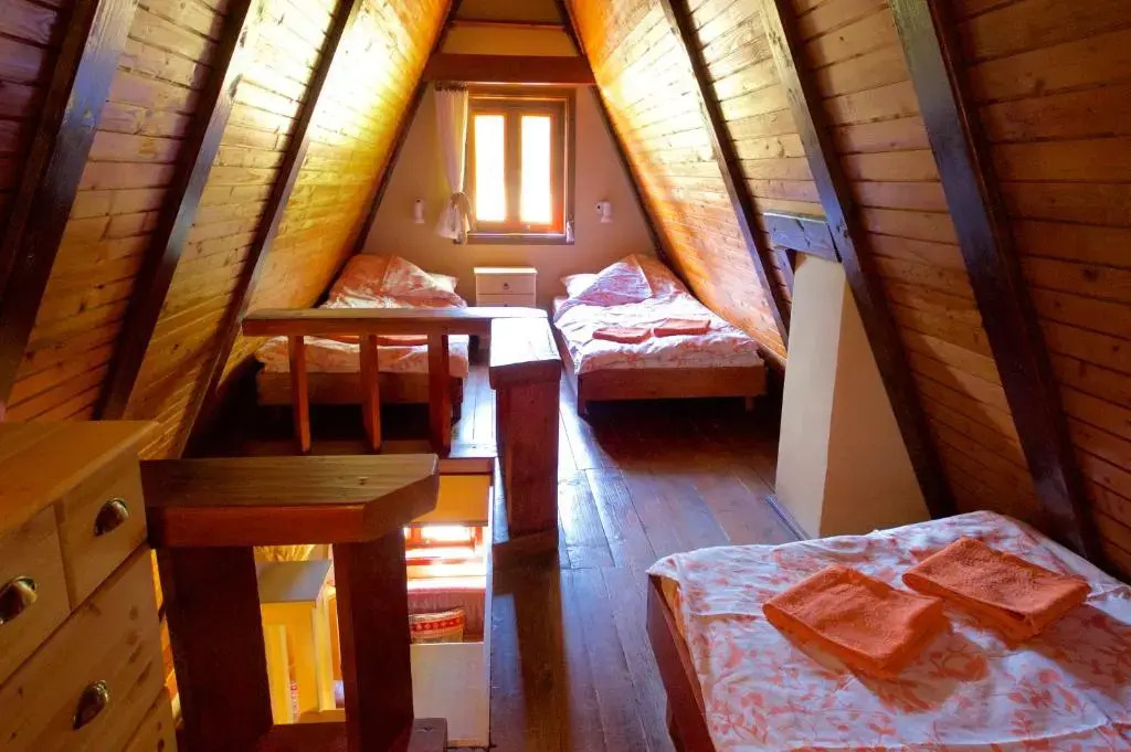 Planinska kuća Tipi Tara