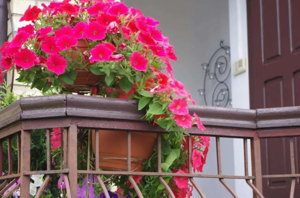 Villand Hotel with Free Private Parking and Self Check In