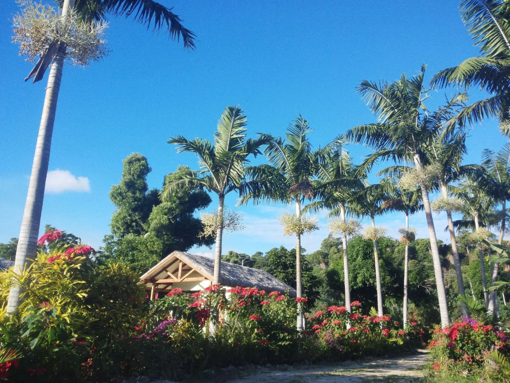 Tanna Evergreen Resort & Tours