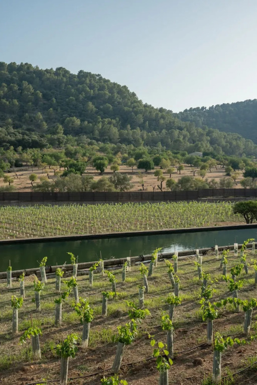 Rondaia Boutique Vineyard Stay – Mallorca, Tramuntana