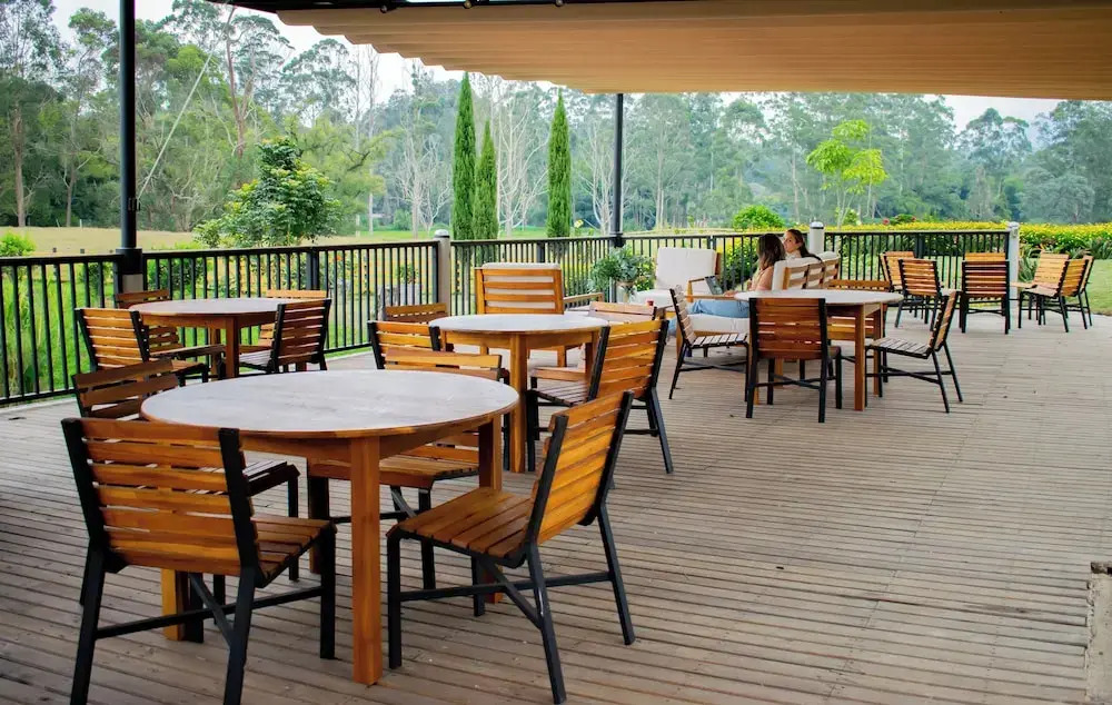 Monarch Campestre