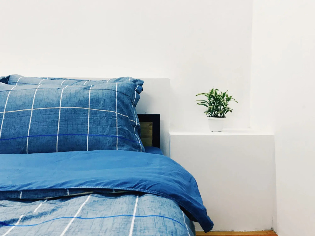 Condodo Homestay