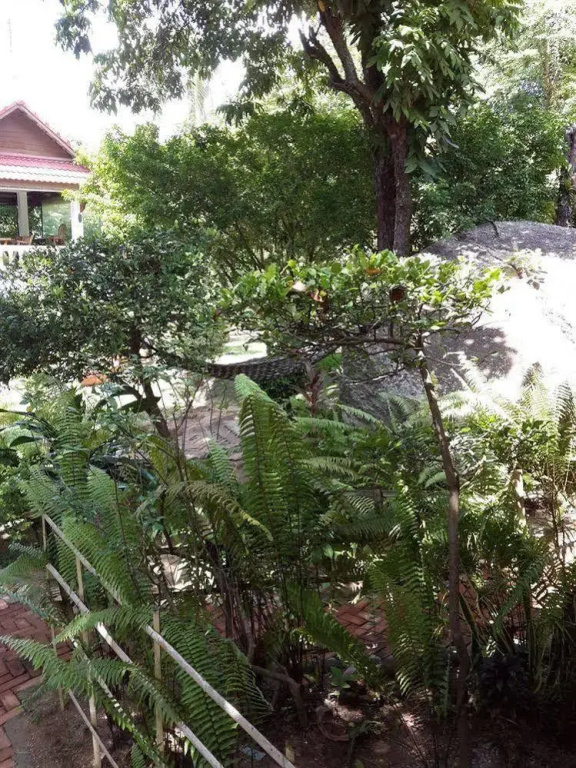 Auberge Resort