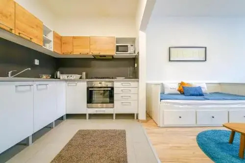 Vesna Convenient Apartment