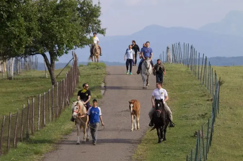 Al Bosco delle Api