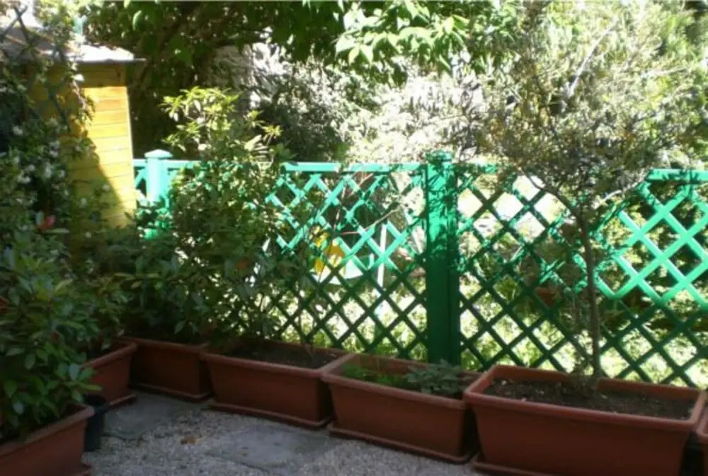 Casadelia