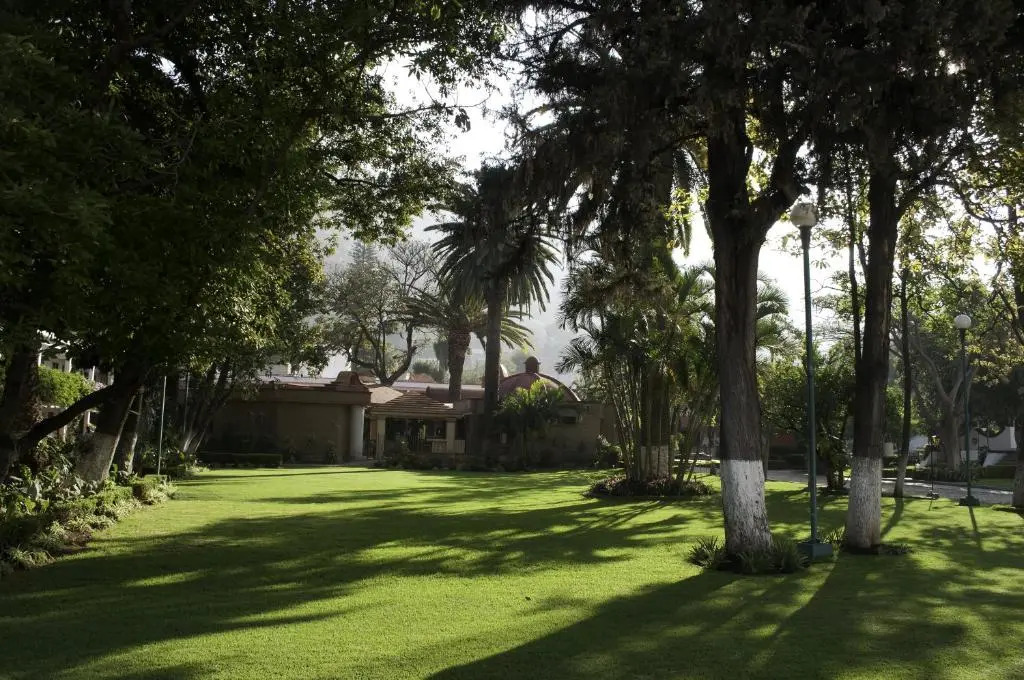 Hotel Los Olivos Spa