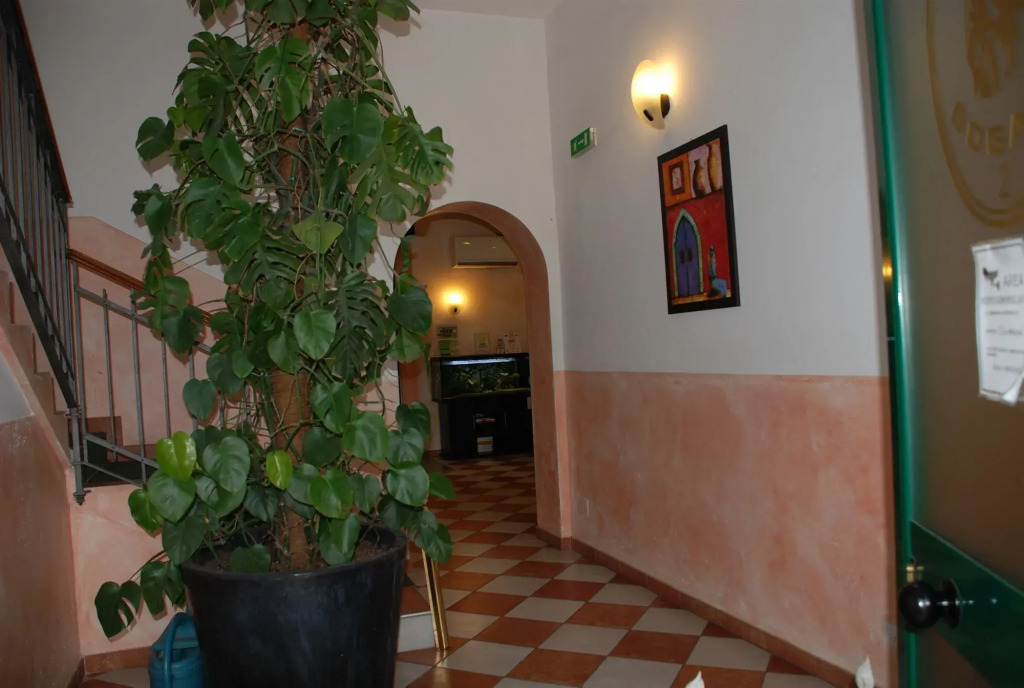 Hotel Bogart 2