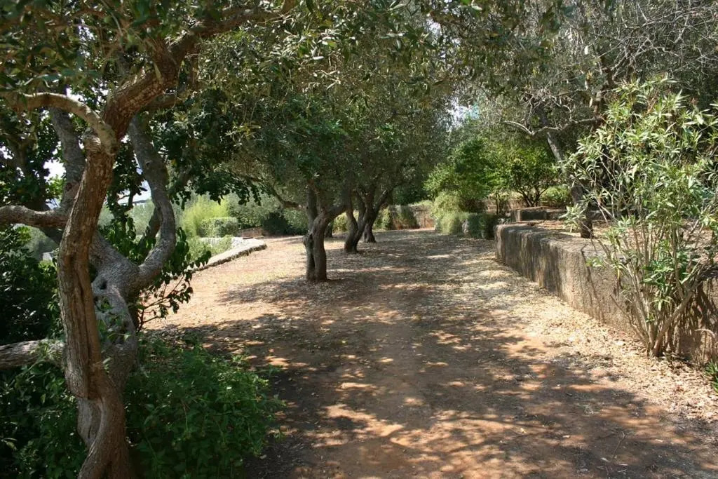 Appartamento in Villa fortunata terra