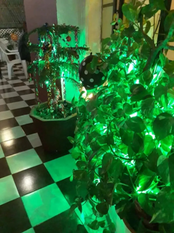 Black Pepper Home Stay