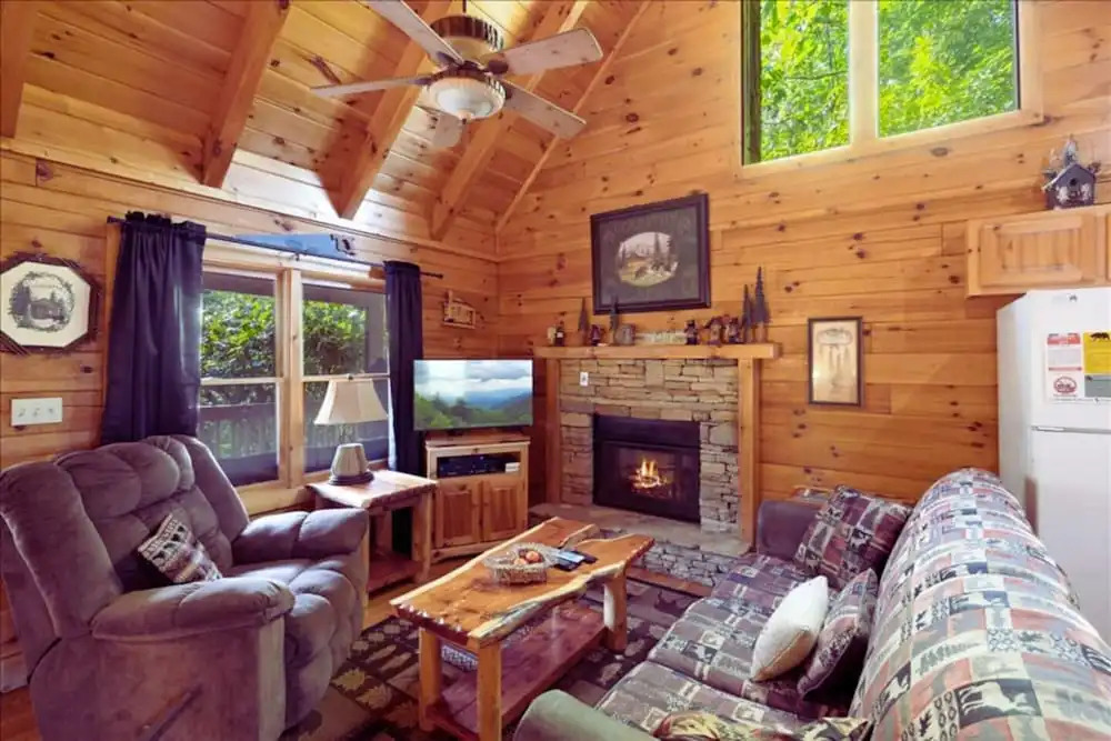 Backwoods Secluded Cabin Escape for 8 Guests