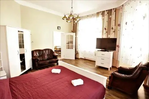 Apartment on Krale Jiriho 2