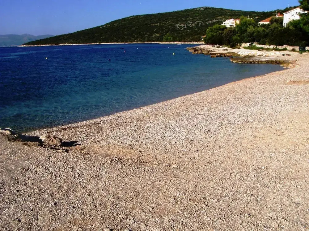 Elizabet - Great Location & Close to the Beach - A1