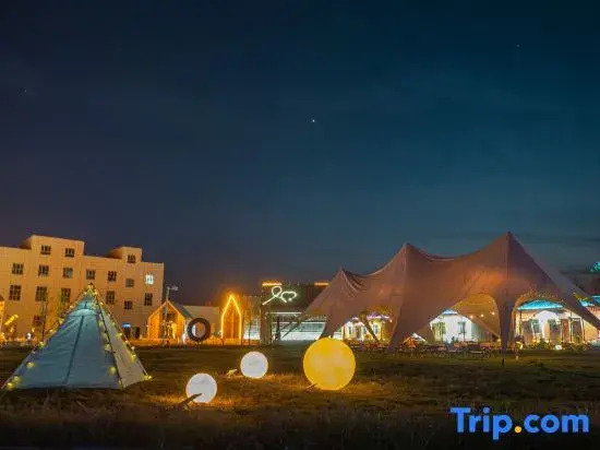 Three-Year-Old Camel · Luxury Wilderness Camp
