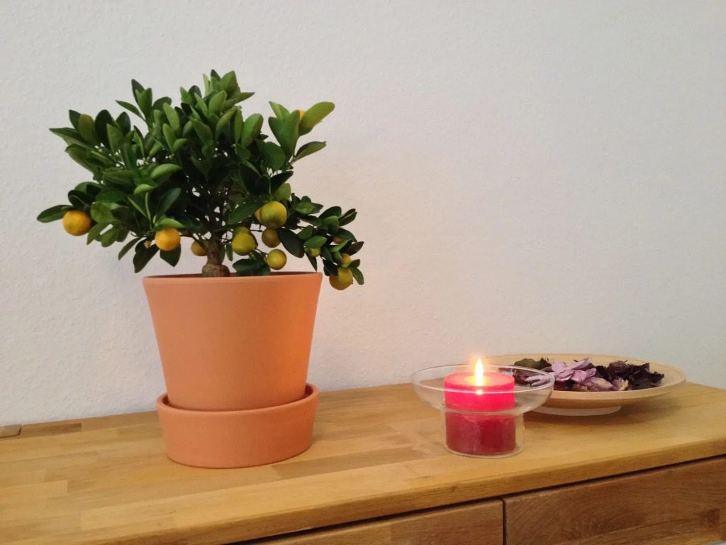 Apartmenthaus Feuerbach