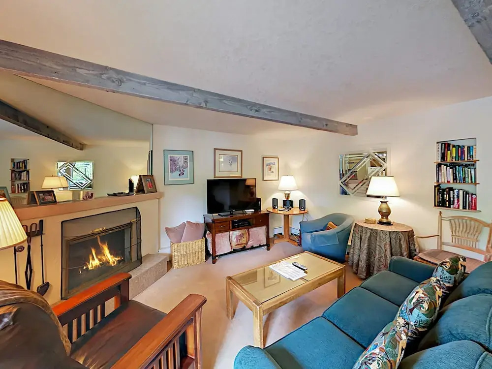 Cozy Condo in Snowmass Village