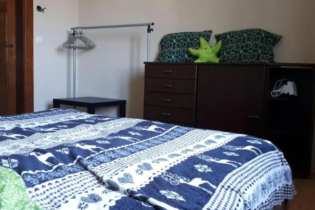 Private room with free VVO ticket & sunset view & Wi-Fi & cats in the house