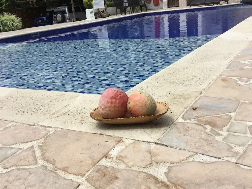 Villa Cata Hotel