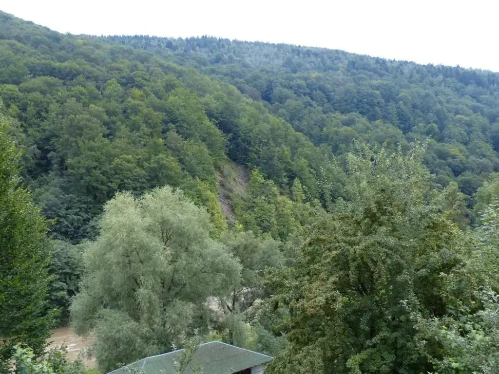 Mrija