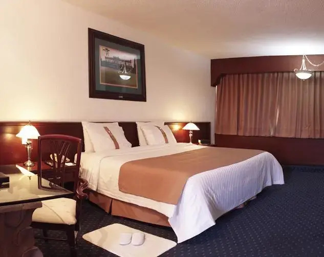 Holiday Inn San Luis Potosi-Quijote