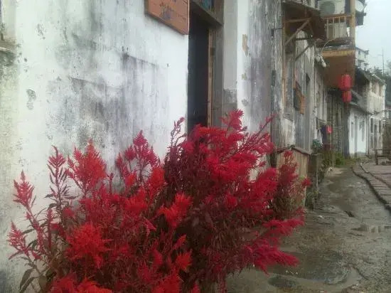 Xiuning wood pear hong home stay in the cloud