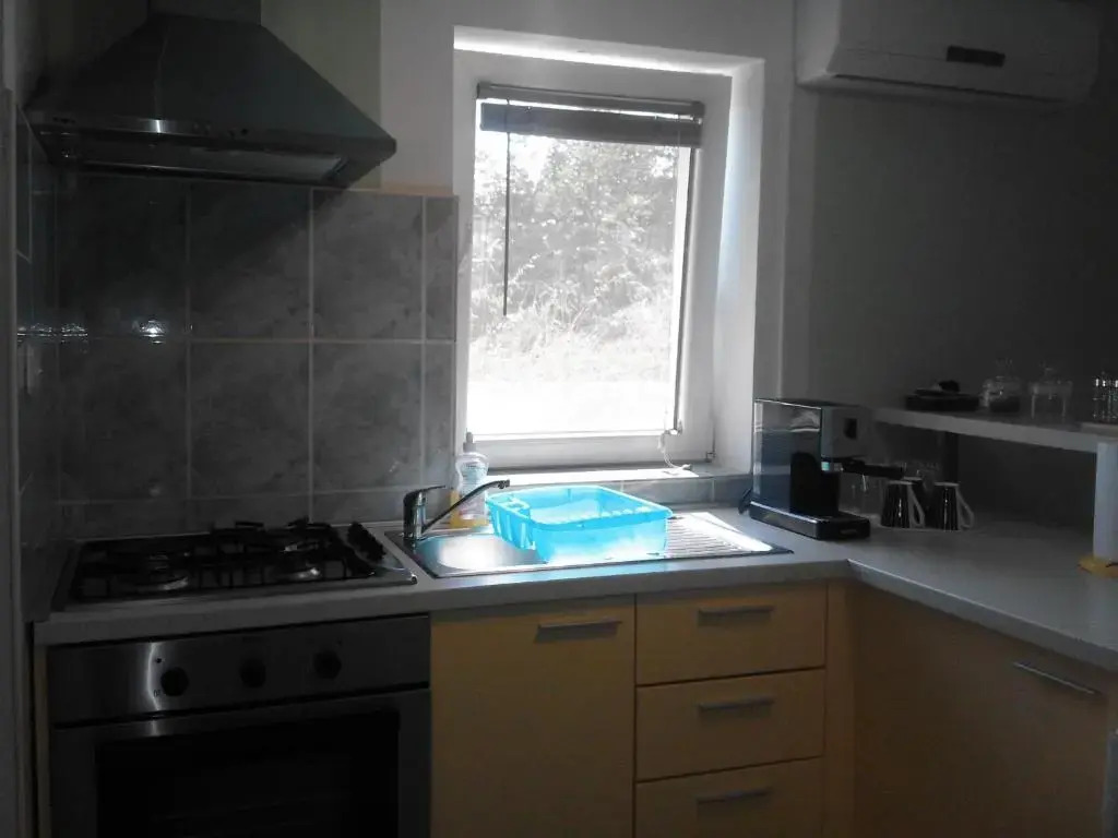Apartment Ruza