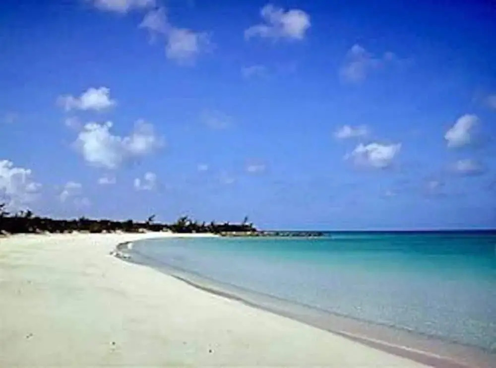 Sammy T's Beach Resort