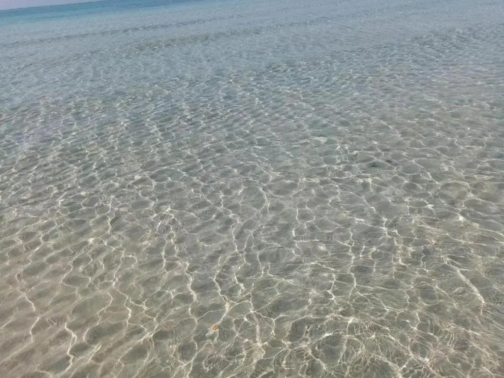 Beach & Friends case vacanza a 250m dalle spiagge sabbiose